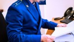 Жительница Коркино отправлена в колонию за неуплату алиментов на содержание дочери